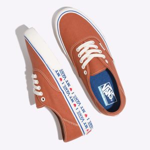 Vans Erkek Spor Ayakkabı Salt Wash Authentic SF Kahverengi | 61092-600